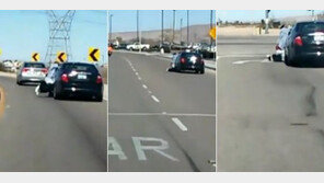 [영상]강아지 훔친 운전자, 개 주인까지 車에 매달고 폭주