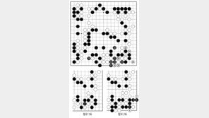 [바둑]알파고 vs 인간 특선보… 알파고, 후환을 없애다