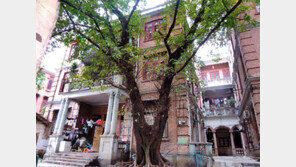 임시정부 광저우 청사 79년만에 확인