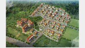 [화제의 분양현장]유럽형 전원주택 187가구 분양