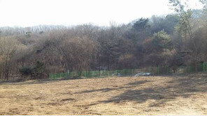 [화제의 분양현장]판교 창조경제밸리 조성사업 가속도… 인접토지 눈길 