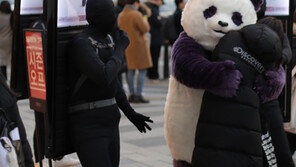 멍과 붓기 풀어주는 타박상치료제