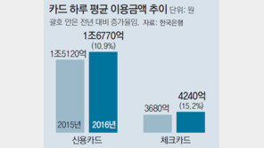 카드 결제 사상 최다… 하루 2조원씩 긁었다