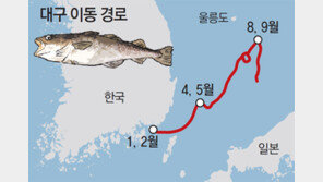 대구, 진해만서 알낳고 동해서 여름난뒤 돌아와