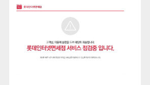 거세지는 중국발 사드 보복…롯데 어쩌나