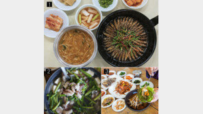 살 오른 죽방멸치, 상추 위에 올려 한 입에 쏙∼