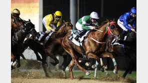 한국대표 경주마, 두바이월드컵 본선행