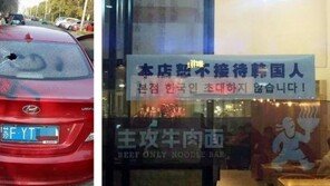 ‘사드 보복?’ 중국서 ‘혐한 분위기 확산’… “한국차 훼손·롯데 불매 운동”