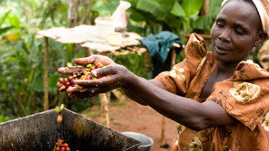 [책의 향기]무작정 기부, 누구를 위한 선행인가