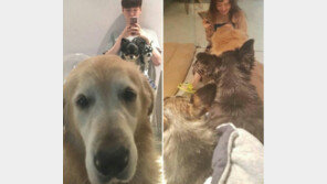 ‘신혼일기’ 안재현 럽스타그램, 아내 구혜선과 마주보고 ‘찰칵’…감자·군밤·순대 ‘깨알 출연’