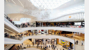 “스타필드 하남 月2회 쉬면 골목상권 살아날까”