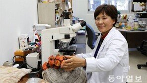 [新 명인열전]수필가로 등단한 제주 1호 버섯박사… “버섯 균주은행 세우는게 꿈”