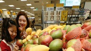 망고-애플망고, 어느 쪽이 맛있을까?