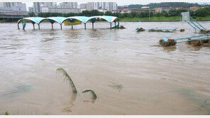 “중랑천, 생태친수공간으로 거듭난다”…동부간선도로 지하화·생태 복원