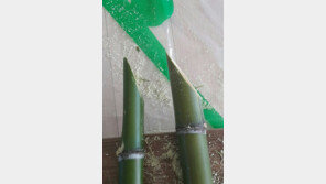 “전투태세 준비 끝”…박사모, ‘태극기 죽창’ 공개하며 공격 예고