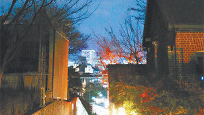 대구 청라언덕에 ‘미디어 스카이’ 도입