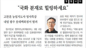 [호남제주/알립니다]“국화 분재로 힐링하세요”