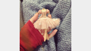 ‘최자 결별’ 설리 “잘가 그동안 즐거웠어” 지난 달 의미심장 발언 