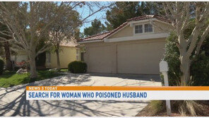 “잠자리 피하려고…” 남편 음식에 4년 간 ‘붕산’ 넣은 女, 결국…