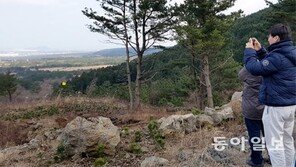 좌초… 축소… 연기… 제주, ‘투자 기피島’ 될라