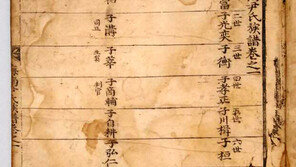 윤두서 인장 찍힌 해남 윤씨 족보 발견