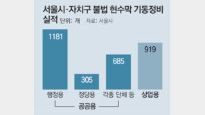 불법현수막 70% 구청-정당 등서 내걸어