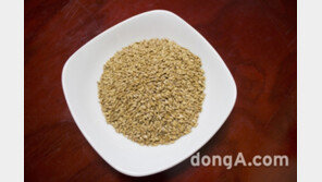 슈퍼푸드 ‘아마씨드’ 서 카드뮴 검출…허용 기준치 마련 절실