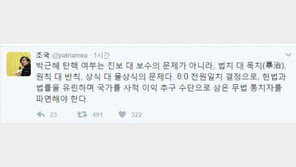 조국 “朴대통령 탄핵 여부, 상식 대 몰상식 문제…8:0 전원일치 결정으로 파면해야”