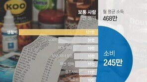 [김아연의 통계뉴스]‘보통 사람들’ 한 달에 얼마 벌어 얼마나 쓸까