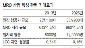 KAI, 항공기 정비사업 날개 달았다