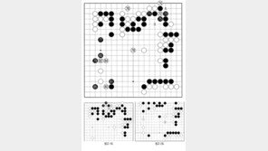 [바둑]알파고 vs 인간 특선보… 알파고의 중앙 대접