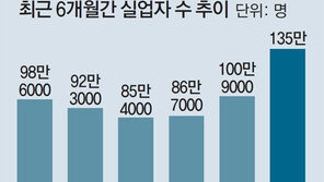 고용시장 한계 직면… 실직자들 자영업 내몰려