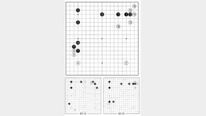 [바둑]알파고 vs 인간 특선보… 알파고의 습성