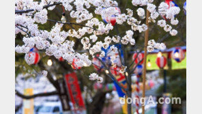 대폭 할인‘일본 벚꽃 인기 호텔’은 어디?
