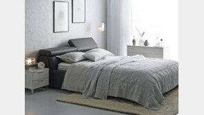 [Interior]꿀잠에서 취미생활까지… 내게 꼭 맞는 침대, 깐깐하게 고르세요 