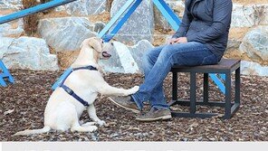 어떤 사나운 개도 ‘개통령’ 앞에선 순한 양이 된다