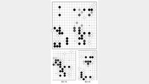[바둑]알파고 vs 인간 특선보… 감탄을 자아내는 수