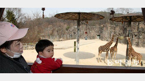 서울대공원 동물원 103일 만에 재개장