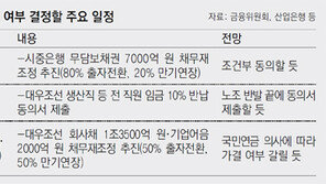 노조-시중銀 ‘대우조선 고통 분담’ 확약서 쓸까