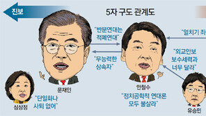 文-安 양자구도로? 보수표 ‘安이냐 洪-劉냐’ 선택에 달렸다