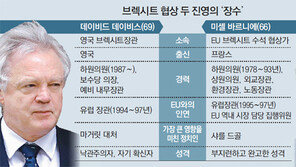 스트리트 파이터 vs 영국 잡는 EU맨