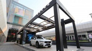 볼보, 올해 연말까지 ‘팝업스토어’ 운영… 다양한 이벤트 진행