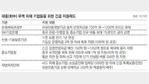“사드보복 피해 정부지원금 받아드립니다”… 中企 두번 울리는 불법브로커 활개
