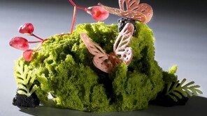 [Q매거진/박홍인의 미식견문록]“셰프는 명예 좇으면 안돼… 진짜 영웅은 ‘요리’임을 명심해야” 