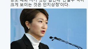 신동욱 “이언주, 文 지지율 흔들리니 떠난 ‘철새여왕’”