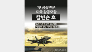 [카드뉴스]‘첫 공습’ 전문 美 항공모함 칼빈슨호 가치 따져보니 ‘어마어마’