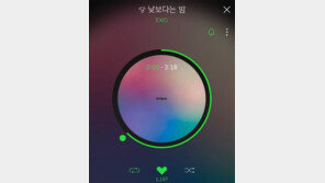 솔지, ‘4인조 컴백’ EXID 응원 “낮보다는 밤, 빠샤샤”