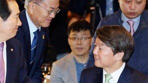 악수는 하지만…