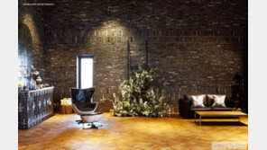 British &  Scandinavia 의자가 있는 공간