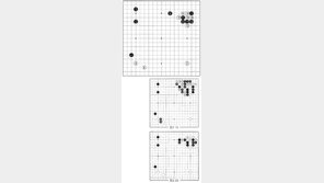 [바둑]알파고 vs 인간 특선보… 알파고 따라하기